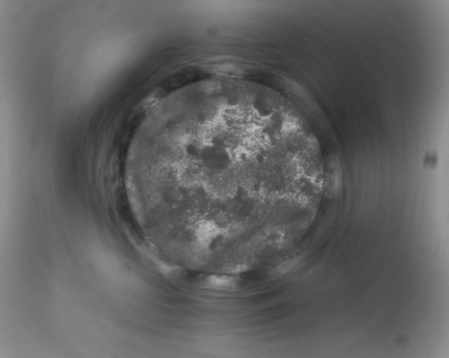 X0000112900573200909181938