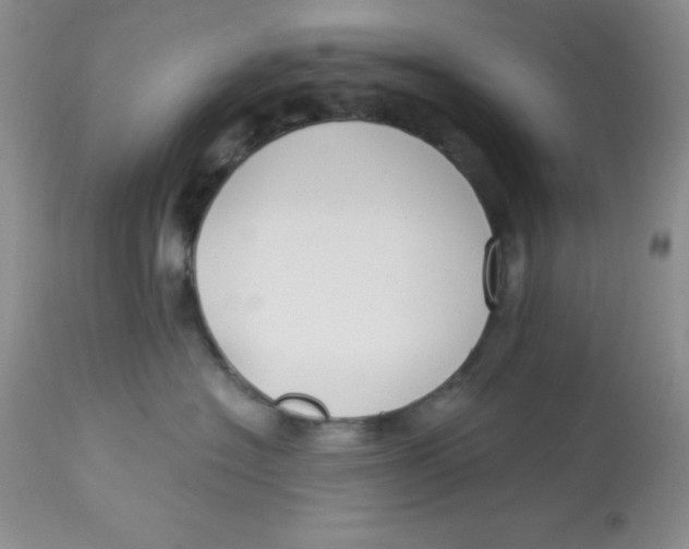 X0000112900574200909181938