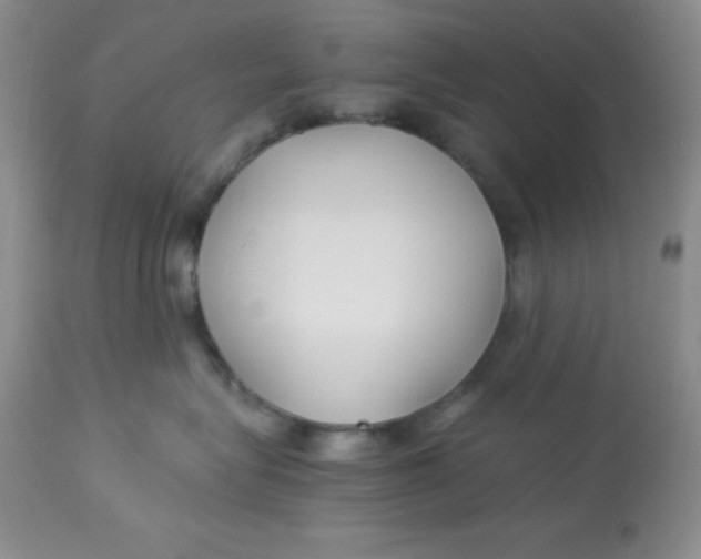 X0000112900575200909181938
