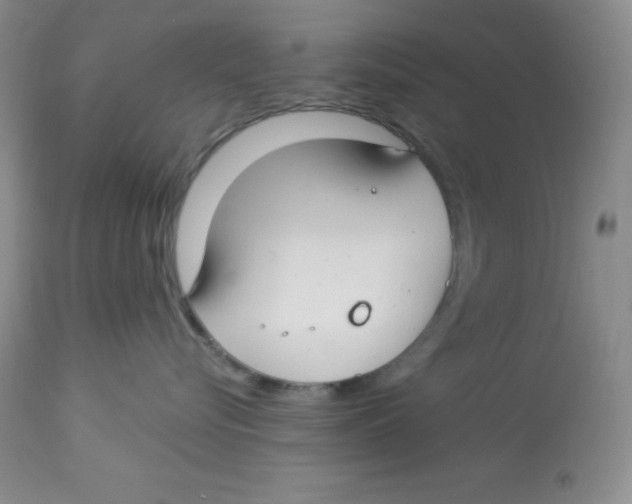 X0000112900576200909181938