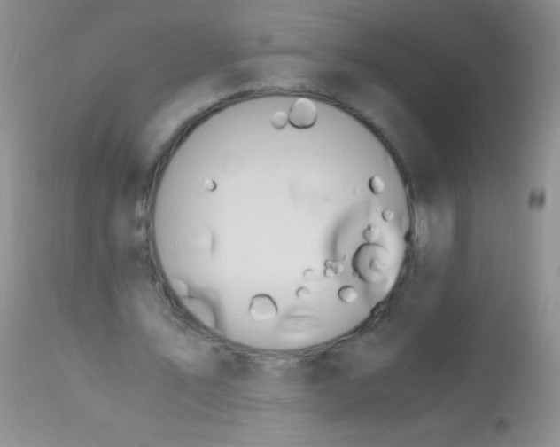 X0000112900579200909181938