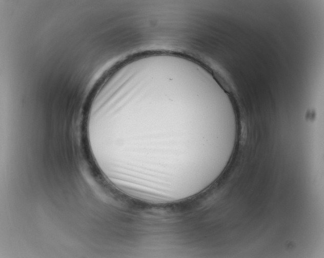 X0000112900580200909181938