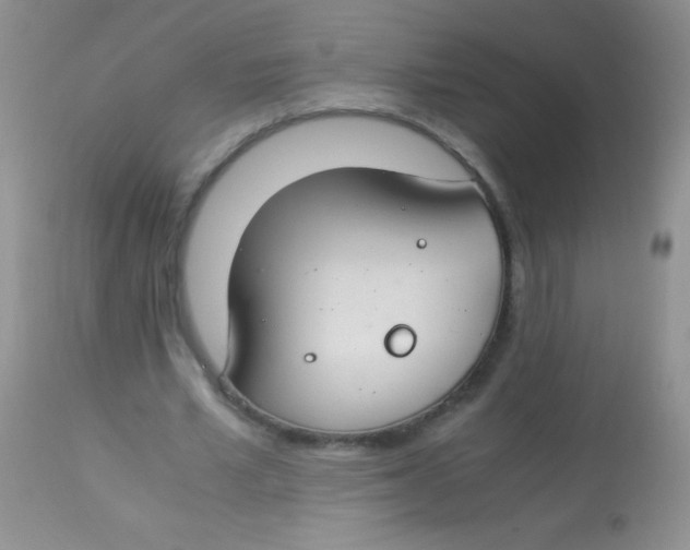 X0000112900581200909181937