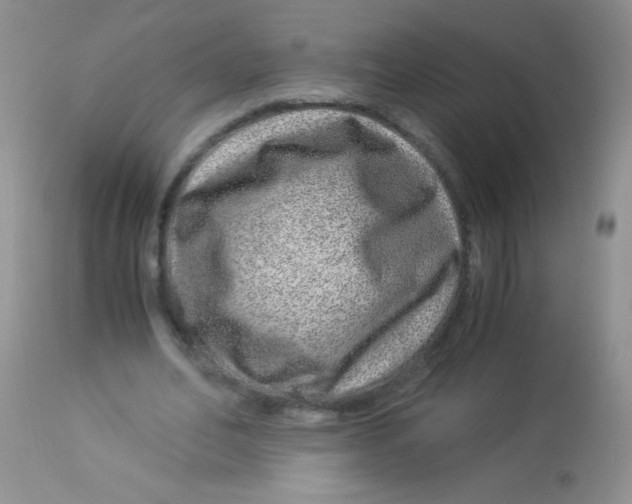 X0000112900582200909181937