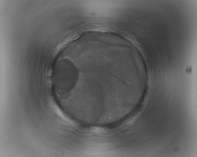 X0000112900585200909181937