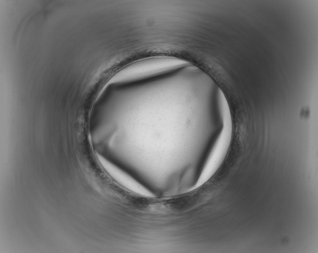 X0000112900591200909181937