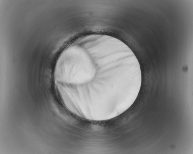 X0000112900592200909181937