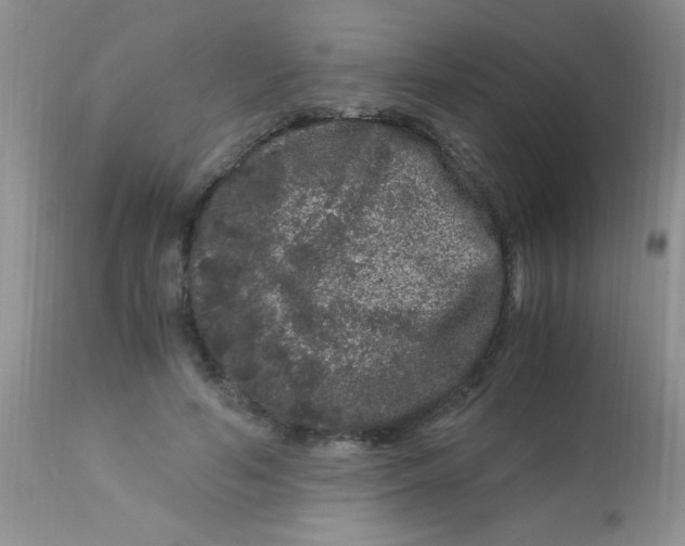X0000112900594200909181937