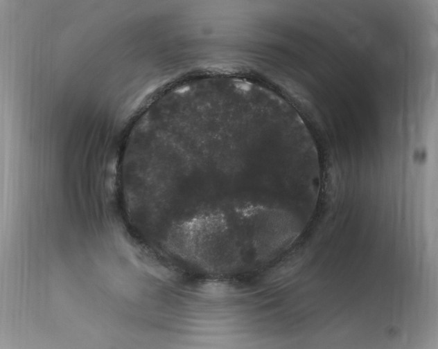 X0000112900596200909181937