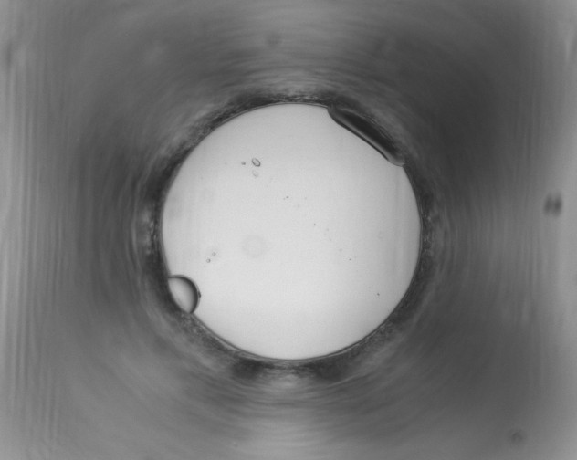 X0000112900597200909181937