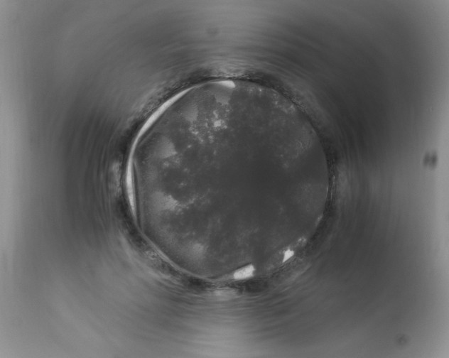 X0000112900598200909181937