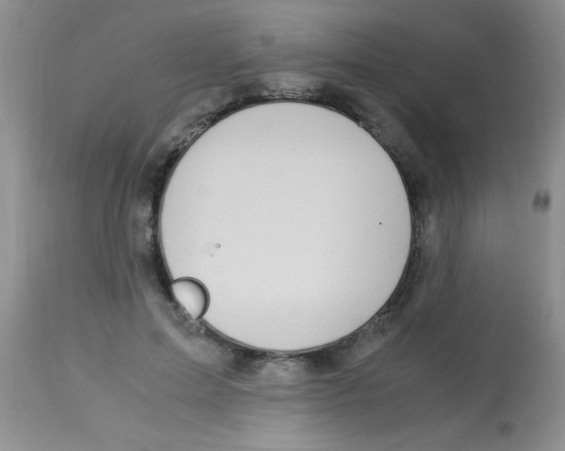 X0000112900599200909181937