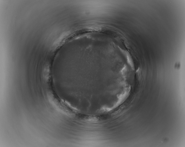 X0000112900600200909181937
