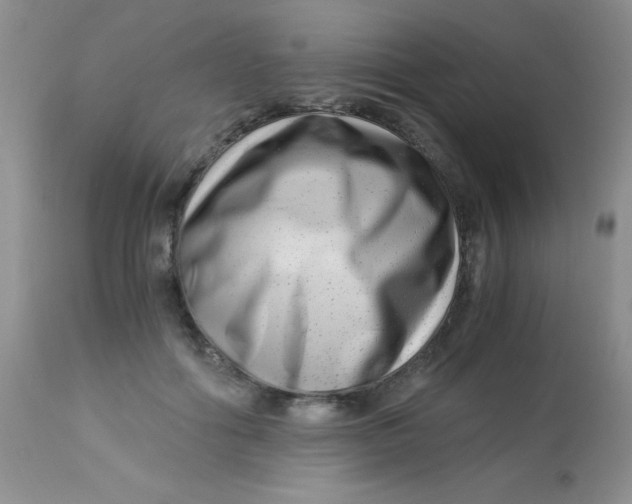 X0000112900602200909181937
