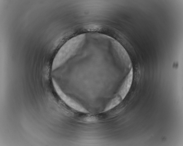 X0000112900604200909181937