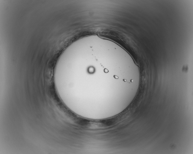 X0000112900605200909181937