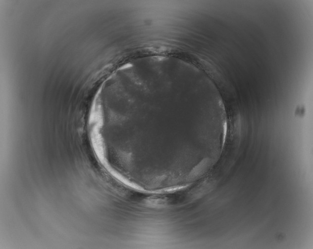 X0000112900606200909181937