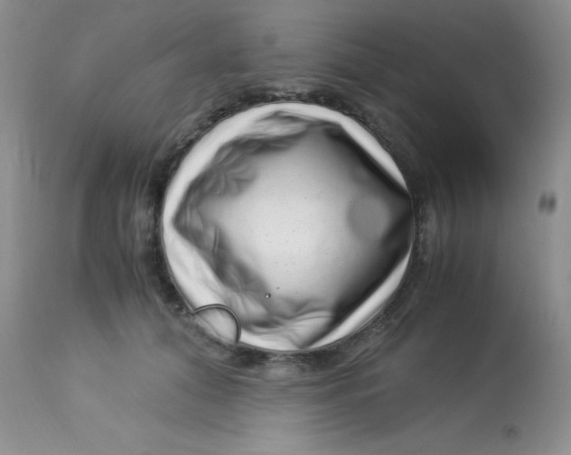 X0000112900608200909181937