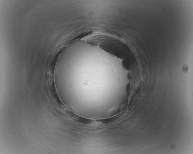 X0000112900609200909181937