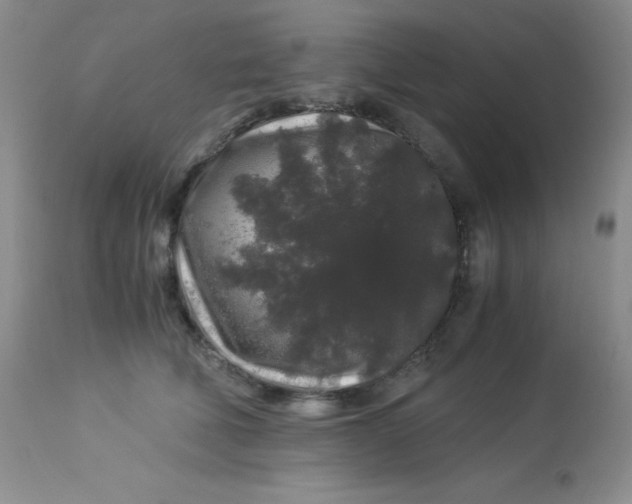 X0000112900610200909181937