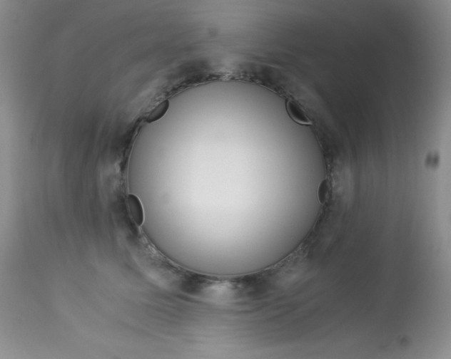 X0000112900611200909181937