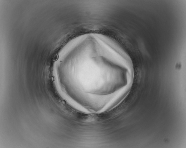 X0000112900612200909181937
