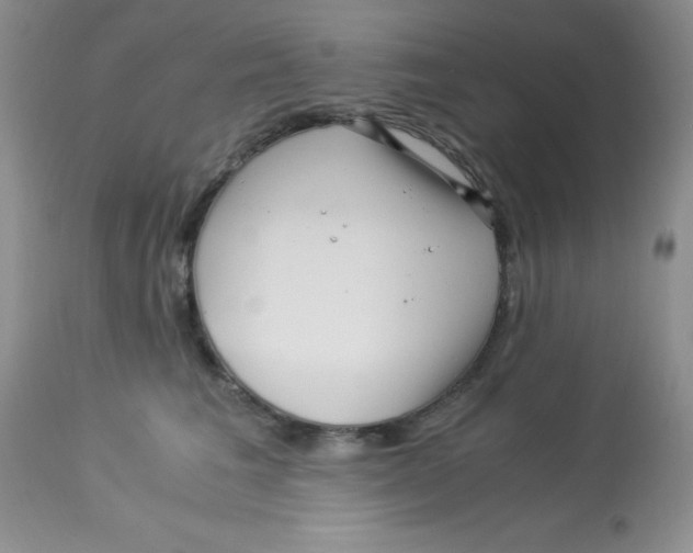 X0000112900613200909181937