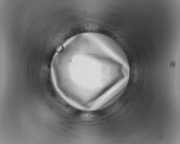 X0000112900614200909181937
