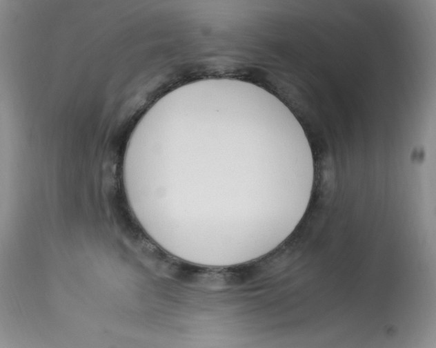 X0000112900615200909181937