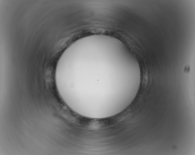X0000112900616200909181937