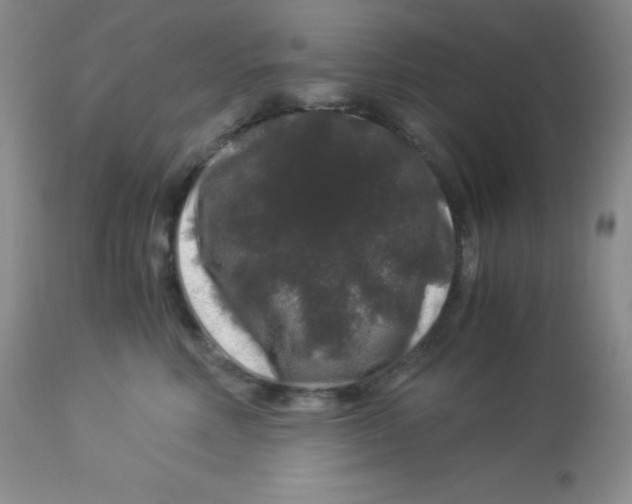 X0000112900618200909181937