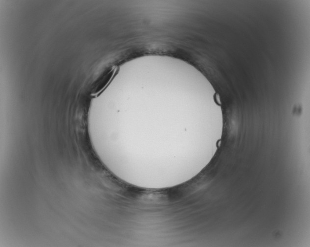 X0000112900619200909181937