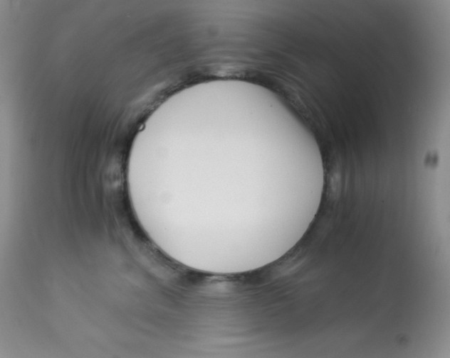 X0000112900620200909181937