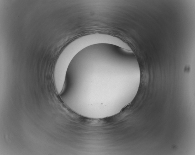 X0000112900621200909181937