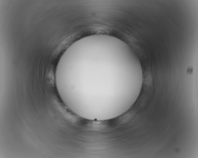 X0000112900622200909181937