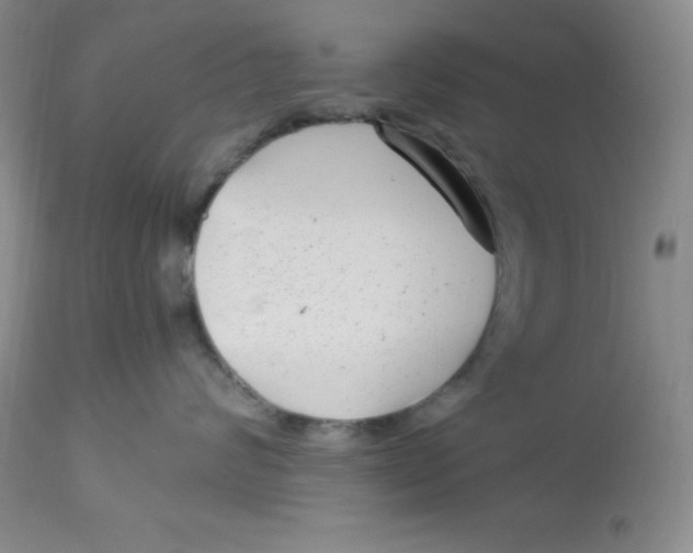 X0000112900624200909181937