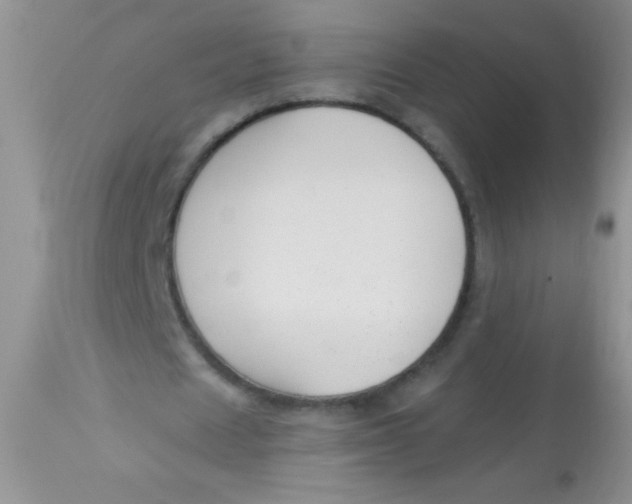 X0000112900625200909181936