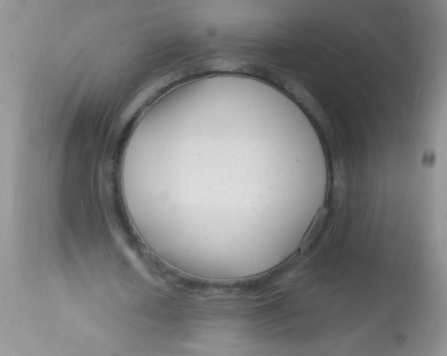 X0000112900626200909181936