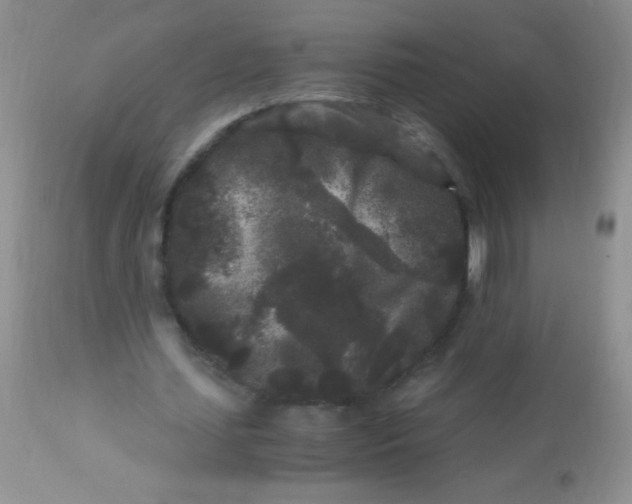 X0000112900627200909181936
