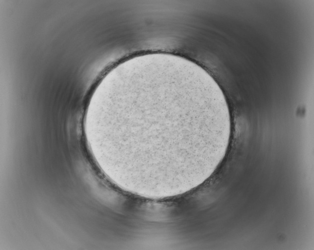 X0000112900632200909181936