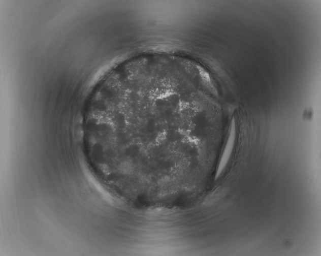 X0000112900634200909181936