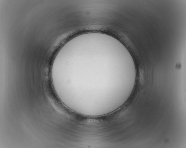X0000112900636200909181936