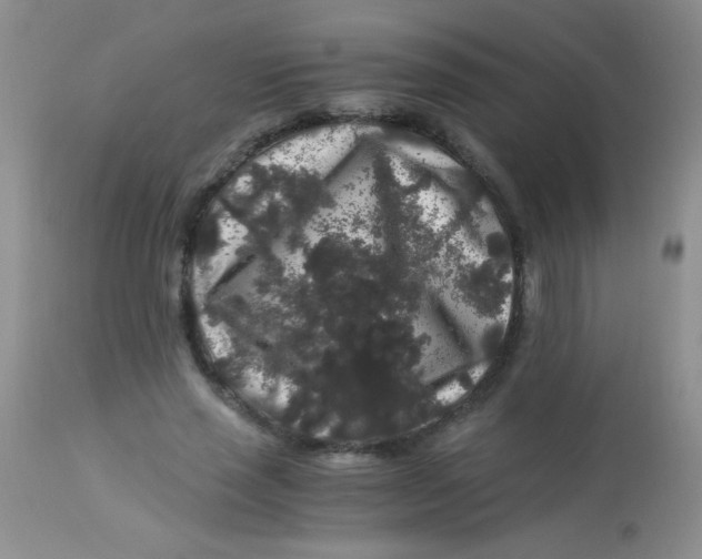 X0000112900637200909181936