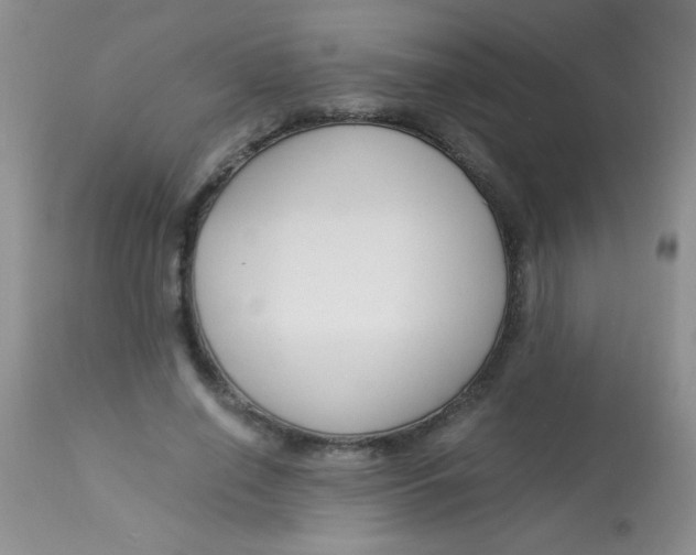 X0000112900638200909181936
