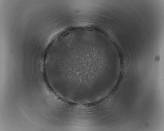 X0000112900640200909181936
