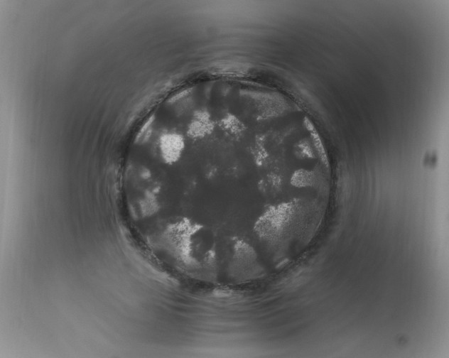 X0000112900641200909181936
