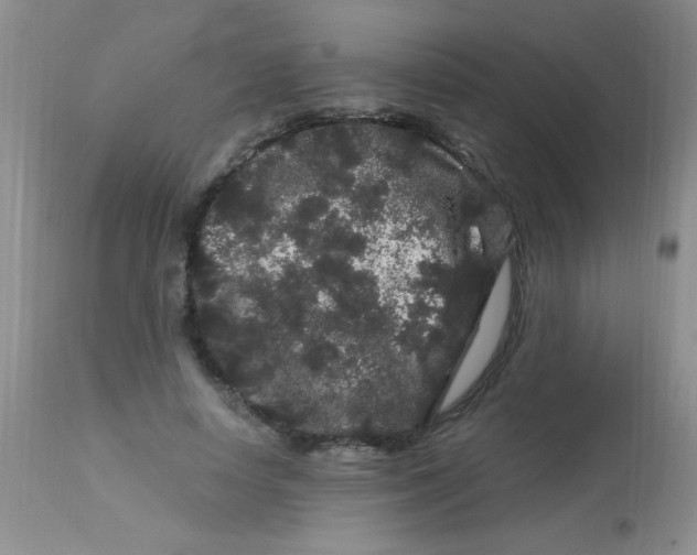 X0000112900642200909181936