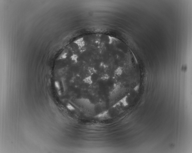 X0000112900643200909181936