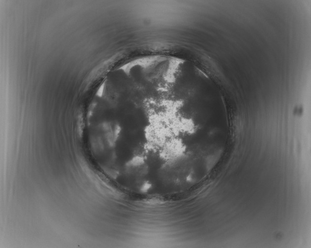 X0000112900644200909181936