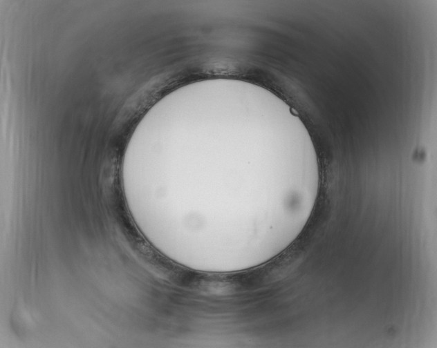 X0000112900645200909181937